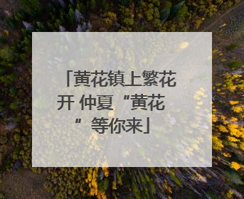 黄花镇上繁花开 仲夏“黄花”等你来