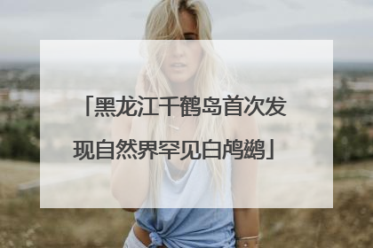 黑龙江千鹤岛首次发现自然界罕见白鸬鹚