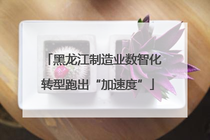 黑龙江制造业数智化转型跑出“加速度”