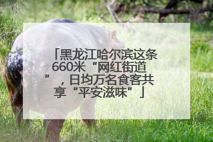 黑龙江哈尔滨这条660米“网红街道”，日均万名食客共享“平安滋味”