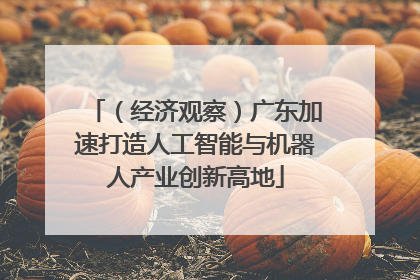 （经济观察）广东加速打造人工智能与机器人产业创新高地