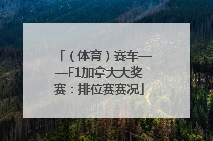 （体育）赛车——F1加拿大大奖赛：排位赛赛况
