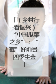 （乡村行·看振兴）“中国瓜菜之乡”：“莓”好前景 四季生金