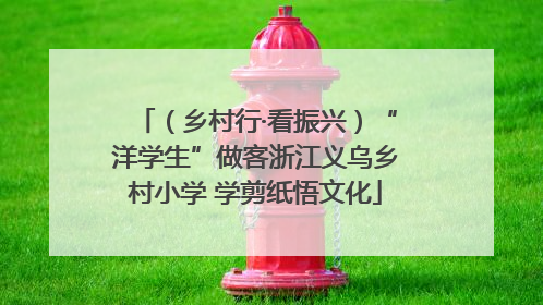 （乡村行·看振兴）“洋学生”做客浙江义乌乡村小学 学剪纸悟文化