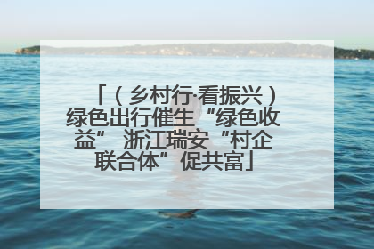 （乡村行·看振兴）绿色出行催生“绿色收益” 浙江瑞安“村企联合体”促共富
