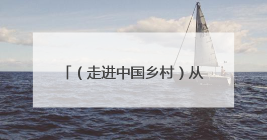 （走进中国乡村）从 “食疗养生” 到 “适老化改造” 秦岭腹地成康养“福地”