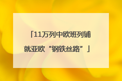 11万列中欧班列铺就亚欧“钢铁丝路”
