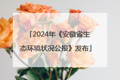 2024年《安徽省生态环境状况公报》发布