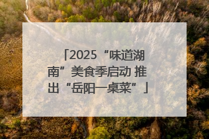 2025“味道湖南”美食季启动 推出“岳阳一桌菜”