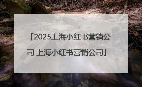 2025上海小红书营销公司 上海小红书营销公司