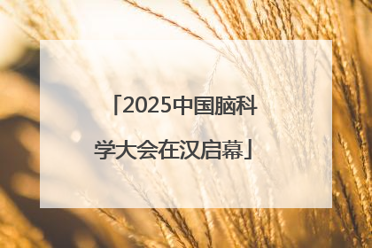 2025中国脑科学大会在汉启幕