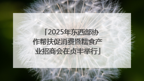 2025年东西部协作帮扶促消费暨糯食产业招商会在贞丰举行