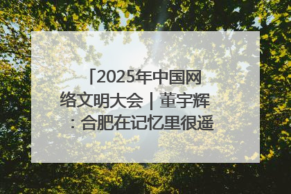 2025年中国网络文明大会｜董宇辉：合肥在记忆里很遥远也很亲切