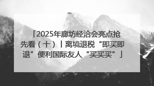 2025年廊坊经洽会亮点抢先看（十）丨离境退税“即买即退”便利国际友人“买买买”
