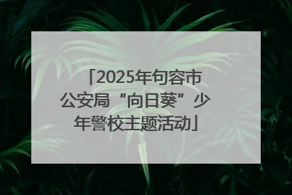 2025年句容市公安局“向日葵”少年警校主题活动
