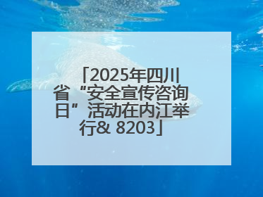 2025年四川省“安全宣传咨询日”活动在内江举行& 8203