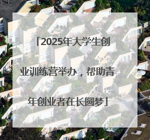 2025年大学生创业训练营举办，帮助青年创业者在长圆梦