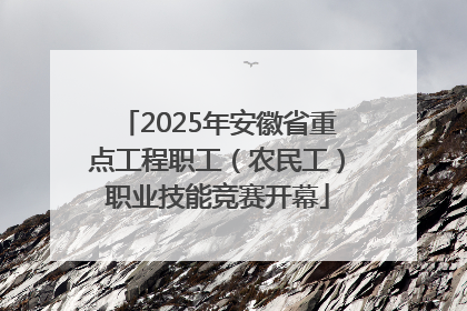 2025年安徽省重点工程职工（农民工）职业技能竞赛开幕