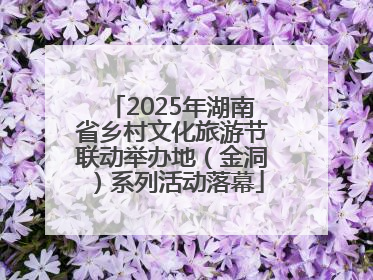 2025年湖南省乡村文化旅游节联动举办地（金洞）系列活动落幕