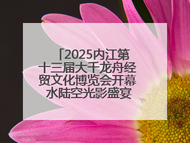2025内江第十三届大千龙舟经贸文化博览会开幕 水陆空光影盛宴点亮甜城湖