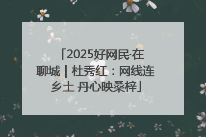 2025好网民·在聊城｜杜秀红：网线连乡土 丹心映桑梓