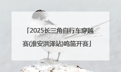 2025长三角自行车穿越赛(淮安洪泽站)鸣笛开赛