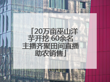 20万亩巫山洋芋开挖 60余名主播齐聚田间直播助农销售