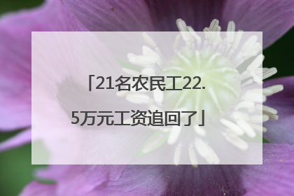 21名农民工22.5万元工资追回了