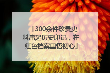 300余件珍贵史料串起历史印记，在红色档案里悟初心