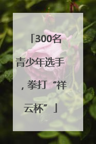300名青少年选手，拳打“祥云杯”
