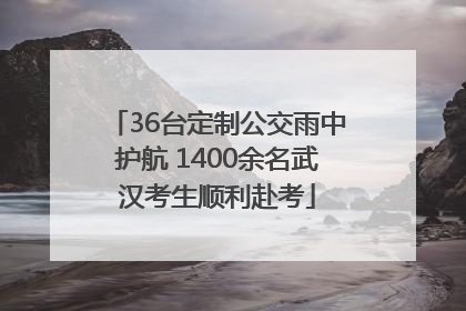 36台定制公交雨中护航 1400余名武汉考生顺利赴考