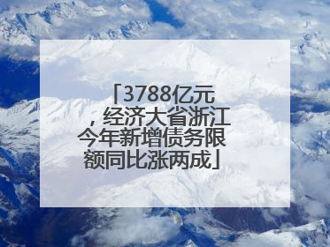 3788亿元，经济大省浙江今年新增债务限额同比涨两成