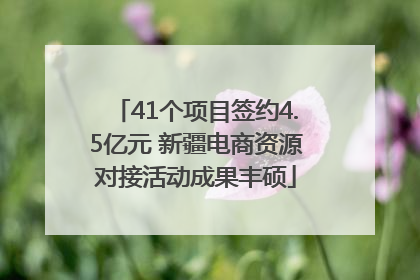 41个项目签约4.5亿元 新疆电商资源对接活动成果丰硕