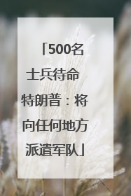 500名士兵待命 特朗普：将向任何地方派遣军队
