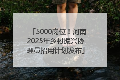 5000岗位！河南2025年乡村振兴协理员招用计划发布