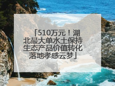 510万元！湖北最大单水土保持生态产品价值转化落地孝感云梦