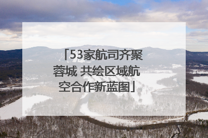 53家航司齐聚蓉城 共绘区域航空合作新蓝图