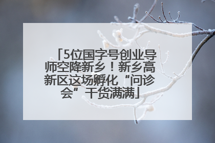 5位国字号创业导师空降新乡！新乡高新区这场孵化“问诊会”干货满满