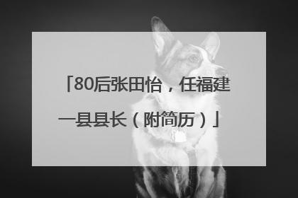 80后张田怡，任福建一县县长（附简历）