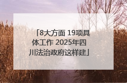 8大方面 19项具体工作 2025年四川法治政府这样建