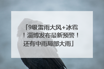 9级雷雨大风+冰雹！淄博发布最新预警！还有中雨局部大雨