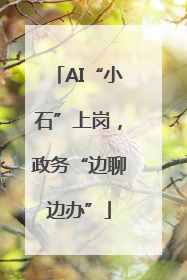 AI“小石”上岗，政务“边聊边办”