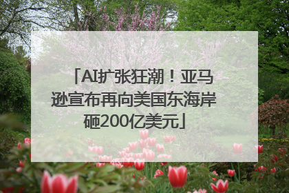 AI扩张狂潮！亚马逊宣布再向美国东海岸砸200亿美元