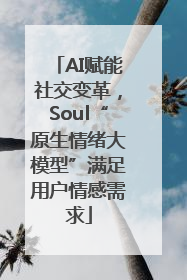 AI赋能社交变革，Soul“原生情绪大模型”满足用户情感需求