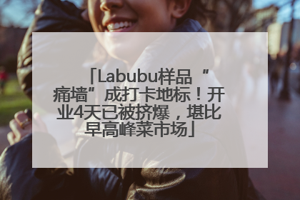 Labubu样品“痛墙”成打卡地标！开业4天已被挤爆，堪比早高峰菜市场