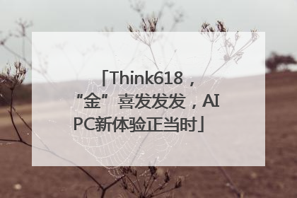 Think618，“金”喜发发发，AIPC新体验正当时